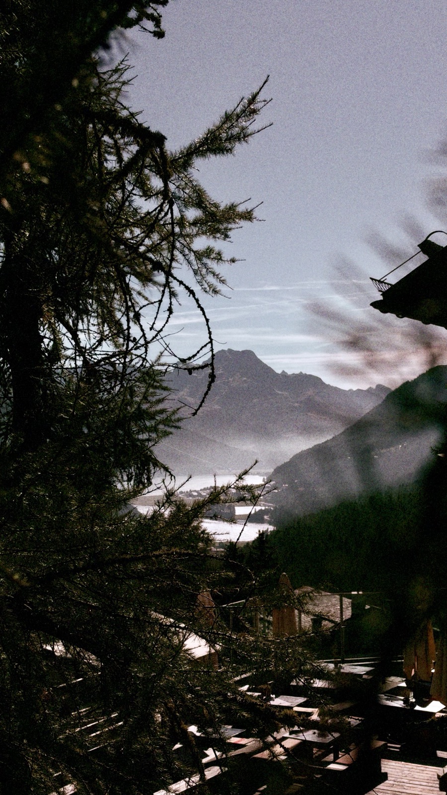 Berggipfel und Tal im Dunst, von den Ästen einer Lärche im Vordergrund gerahmt